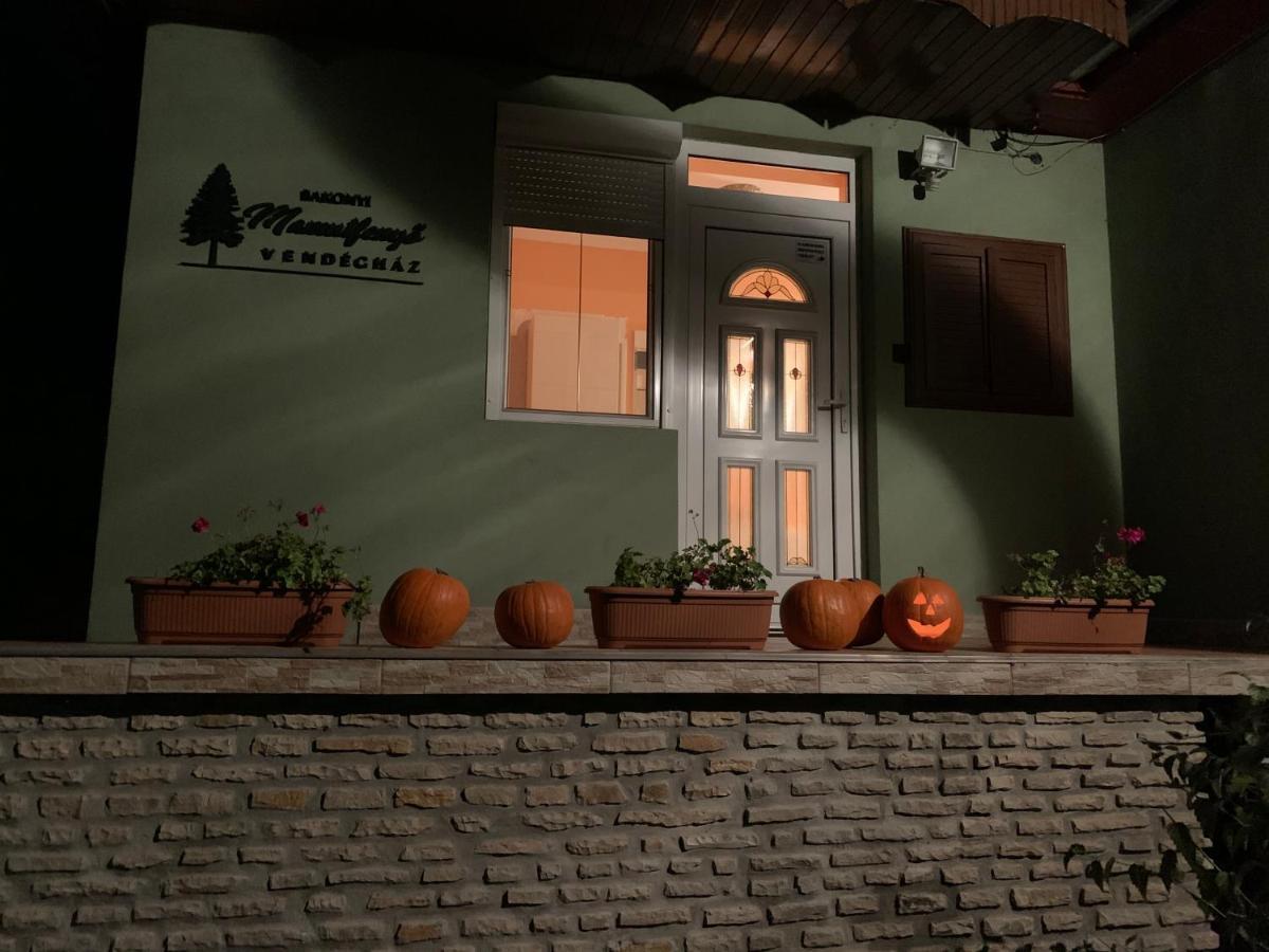 Apartmán Bakonyi Mamutfenyo Vendeghaz Tés Exteriér fotografie