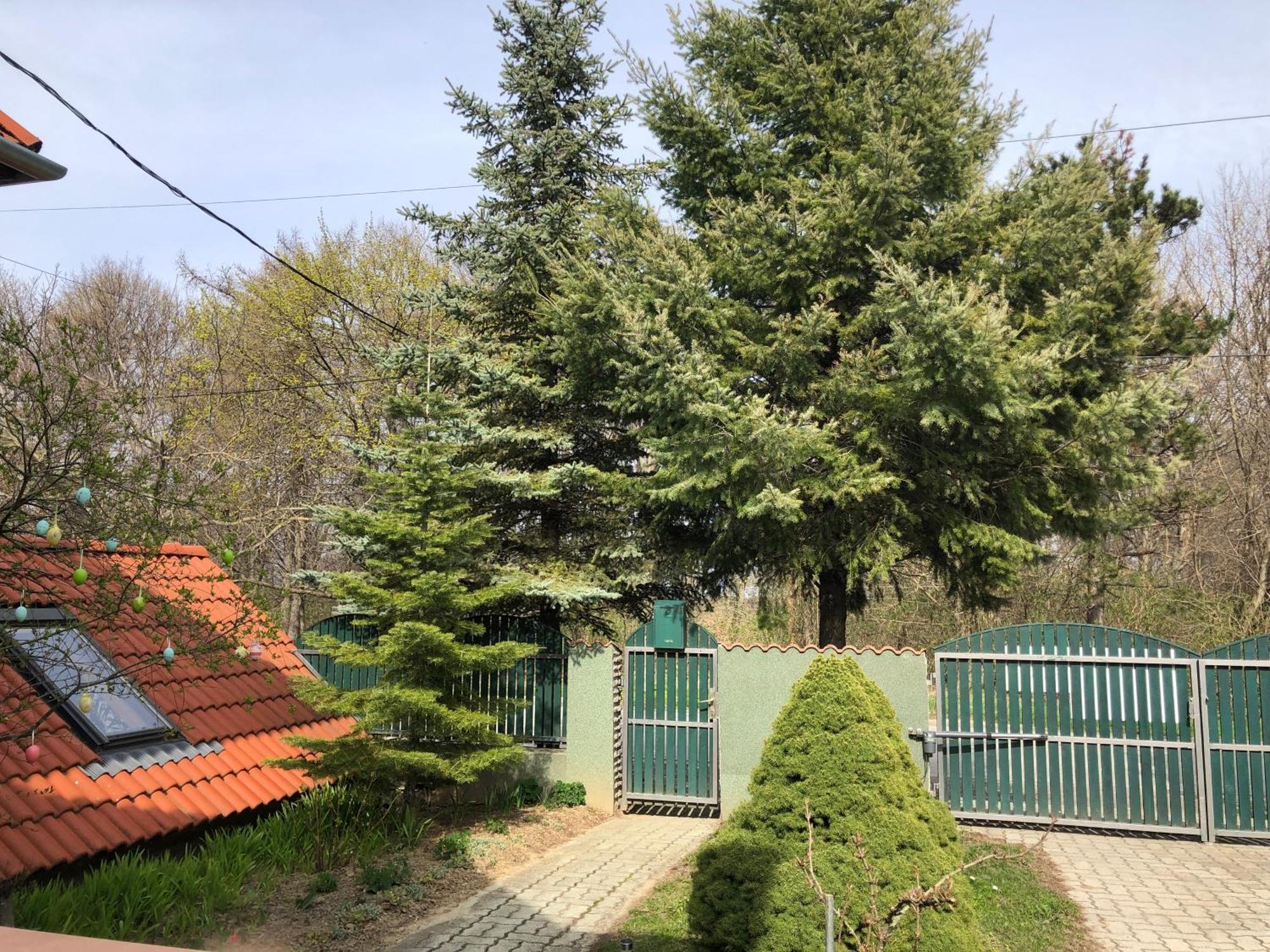Apartmán Bakonyi Mamutfenyo Vendeghaz Tés Exteriér fotografie