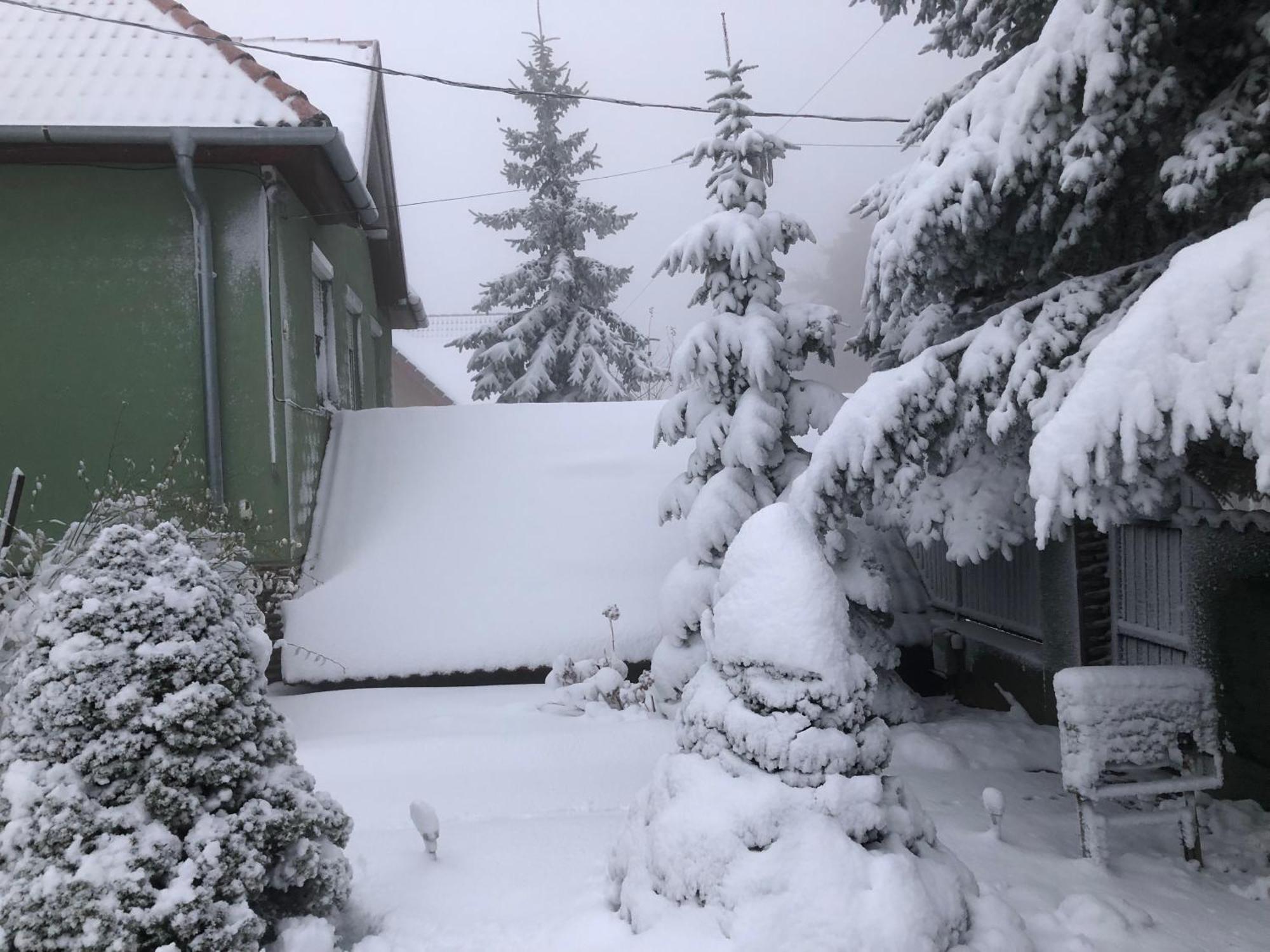 Apartmán Bakonyi Mamutfenyo Vendeghaz Tés Exteriér fotografie