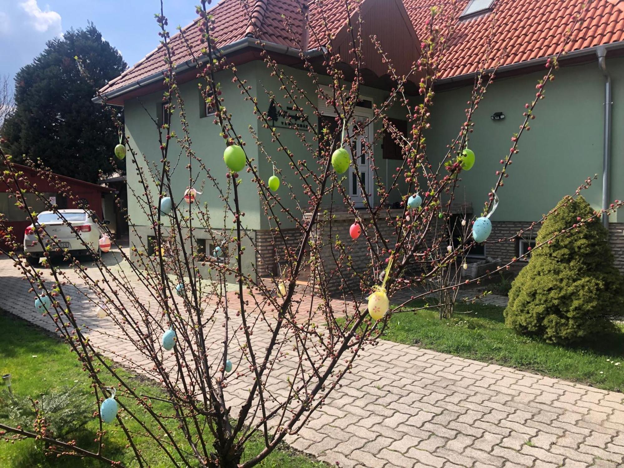 Apartmán Bakonyi Mamutfenyo Vendeghaz Tés Exteriér fotografie