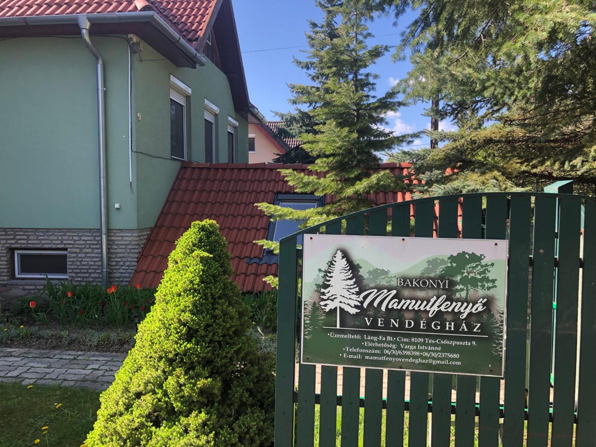 Apartmán Bakonyi Mamutfenyo Vendeghaz Tés Exteriér fotografie